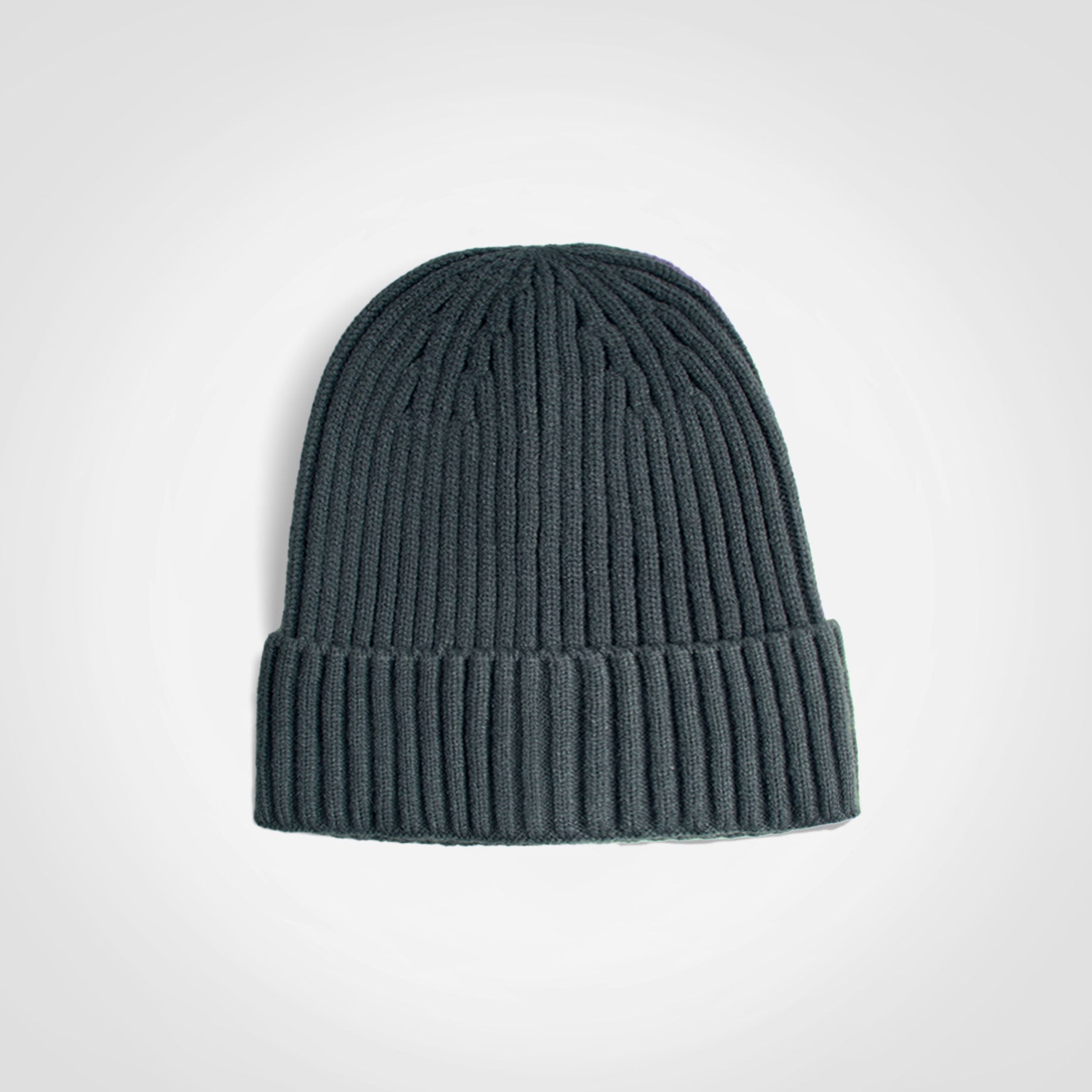Captivity - Glacier Ribbed Beanie