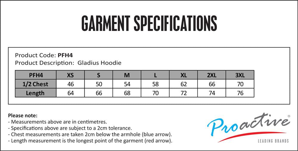 Unisex Gladius Pullover Hoodie