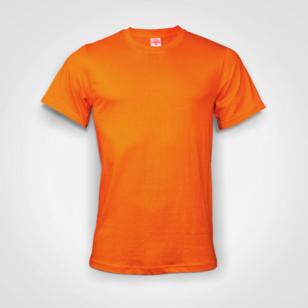 Captivity -  Promo T-shirt