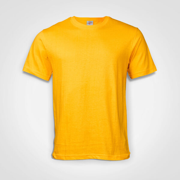 Captivity -  Promo T-shirt