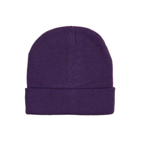 Captivity - Aspen Beanie
