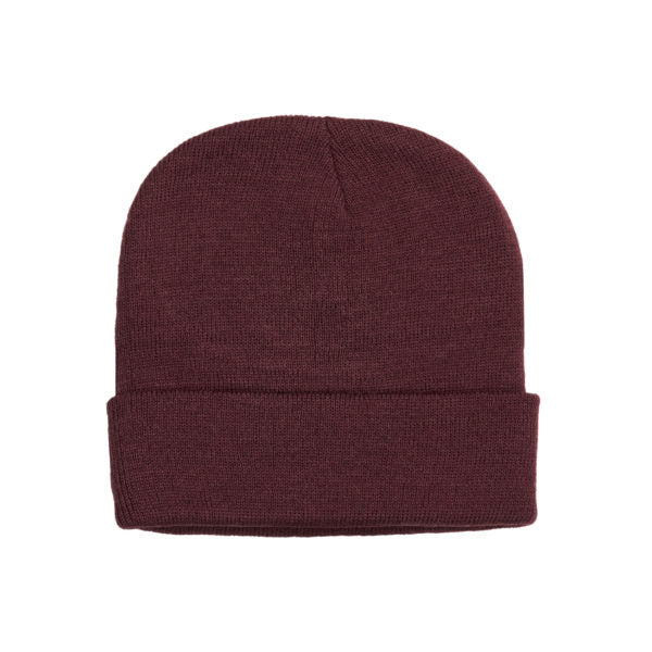 Captivity - Kids Aspen Beanie