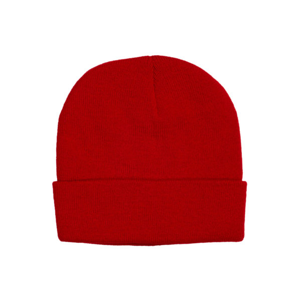 Captivity - Kids Aspen Beanie